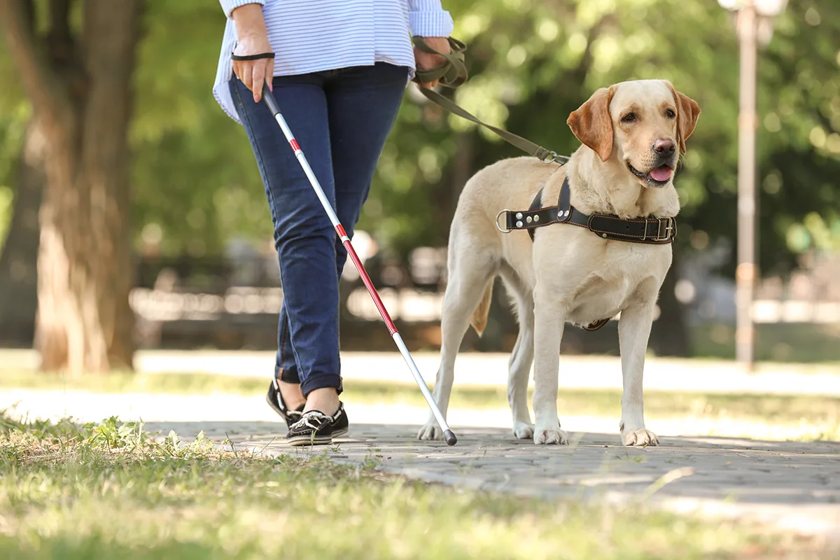 Image of a patient with a Guide Dog